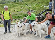 74 A Ca' San Marco, prima che piova ci godiamo questi bei cani pastore svizzeri